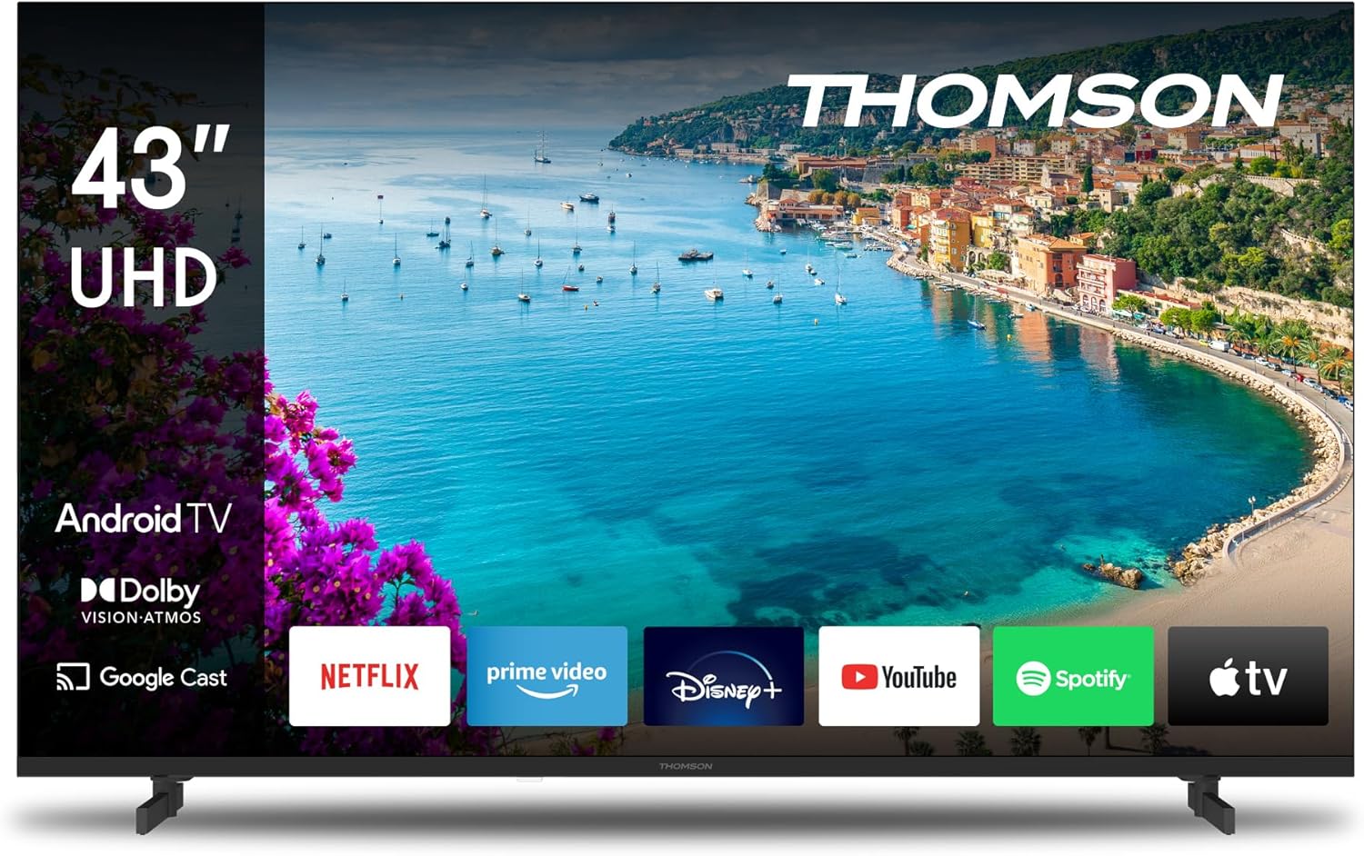 Téléviseur 43 Pouces